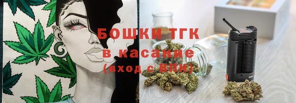 ECSTASY Богородск