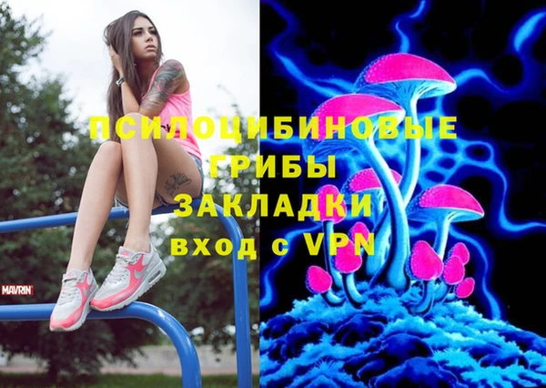бошки Богданович