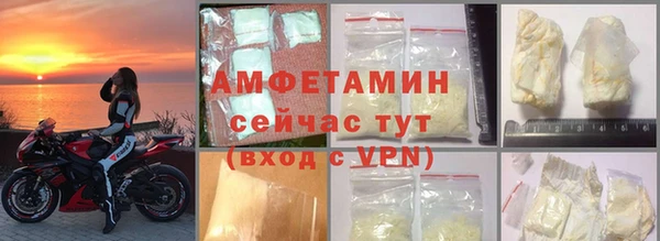 гидра Богородицк