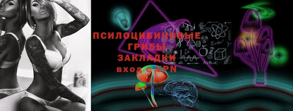 ECSTASY Богородск