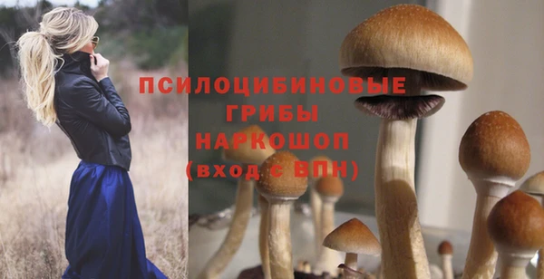бошки Богданович