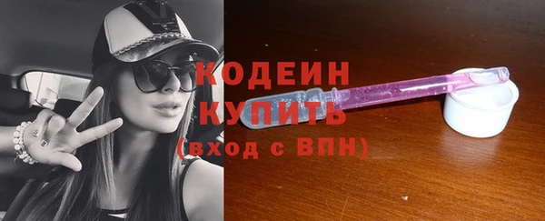 гидра Богородицк