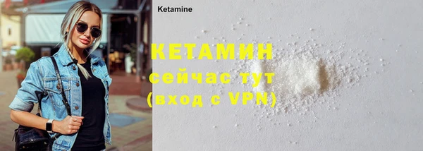 гидра Богородицк