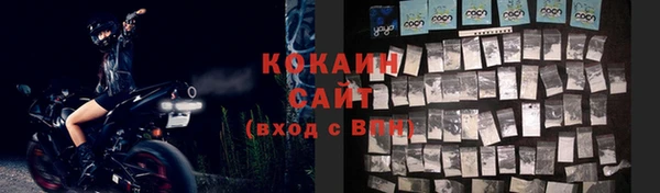 гидра Богородицк