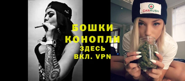 гидра Богородицк