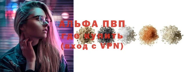 ECSTASY Богородск