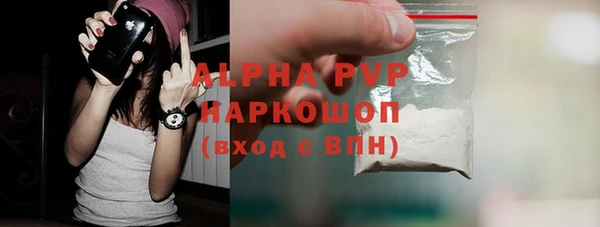 гидра Богородицк