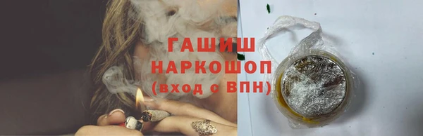 гидра Богородицк