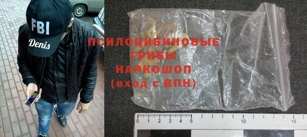 гидра Богородицк