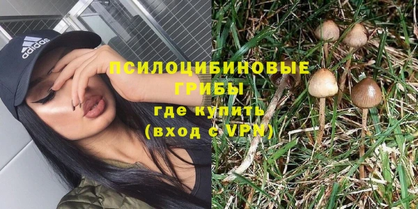 бошки Богданович