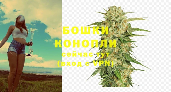 гидра Богородицк