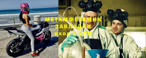 гидра Богородицк