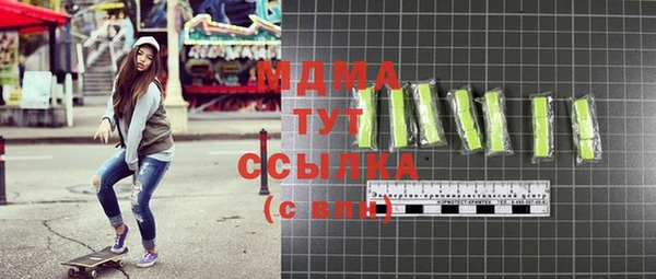 гидра Богородицк