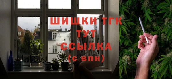 гидра Богородицк
