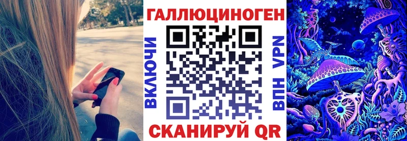 Псилоцибиновые грибы Psilocybine cubensis  Гаврилов-Ям 